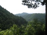 IMG_0071.JPG