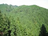 IMG_0074.JPG