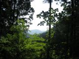 IMG_0081.JPG
