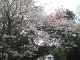DSCF0018.JPG
