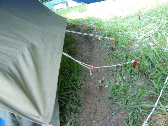 P1010048