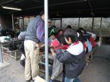 IMG_0585.JPG